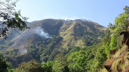  Charmadi Ghat fire destroys 60,000 acres of forests